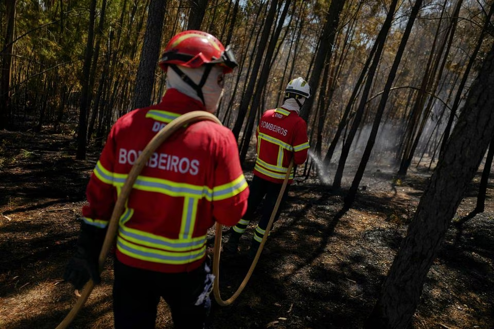 Grande Incêndio devasta área de Castelo Branco, Portugal, com mais de 1.100 Bombeiros em Ação