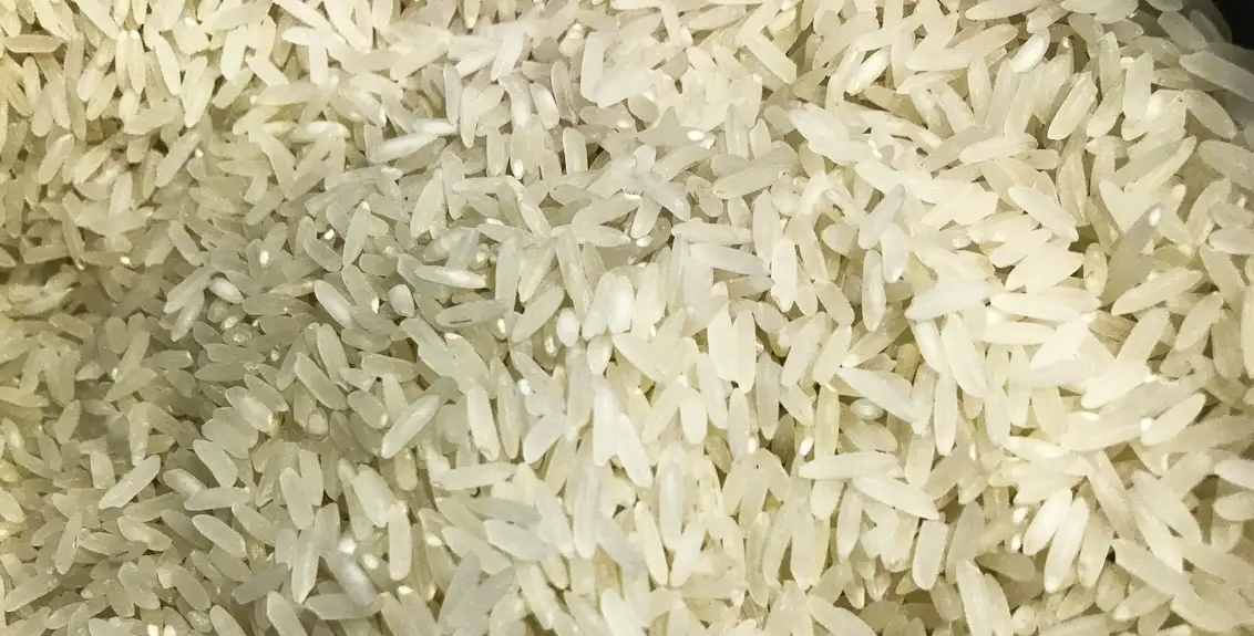 Polícia Federal abre investigação sobre leilão de arroz da Conab