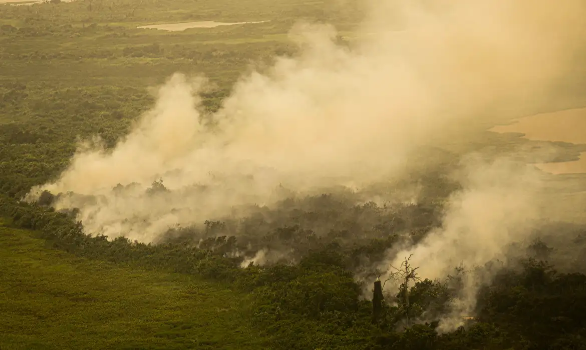 Mato Grosso do Sul Declara Situação de Emergência por Incêndios Florestais